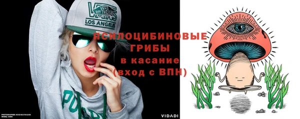 СК Верея