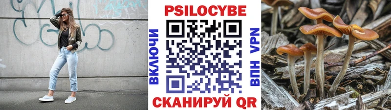 ОМГ ОМГ онион  Георгиевск  Галлюциногенные грибы Magic Shrooms 